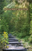 Spellcraft Sonnets by Wood, Tim