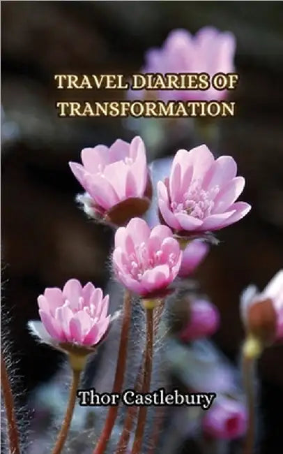 Travel Diaries of Transformation by Thor Castlebury