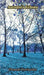 Autumn's Echoes by Portlander, Clement