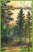 Summer's Sunlit Smile by Wood, Tim