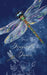 Dragonfly's Dance by Daisy Dewi
