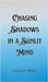 Chasing Shadows in a Sunlit Mind by Gideon Shaw