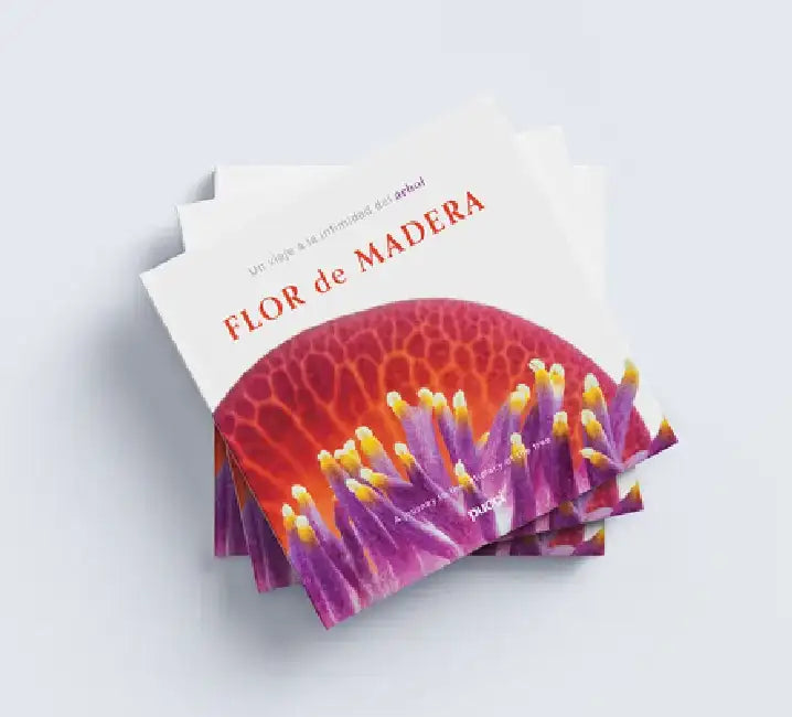 Flor de Madera: A Journey Into the Intimacy of the Tree by Jaime Gamboa