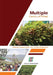 Multiple Faces of Khat by Asnake Kefale, Zerihun Mohammed