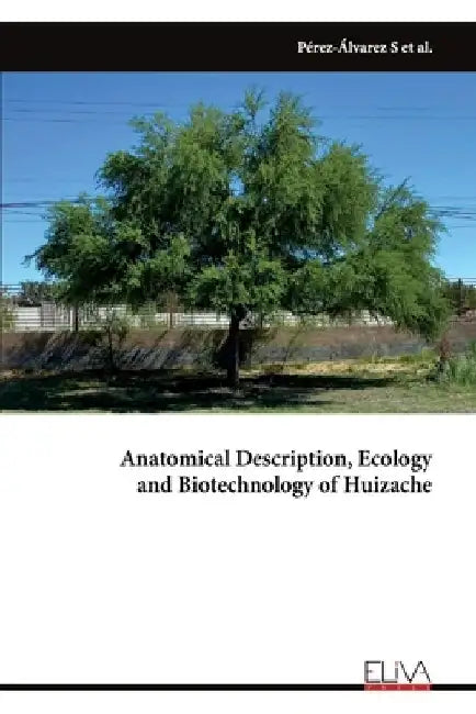 Anatomical Description, Ecology and Biotechnology of Huizache by Sandra Pérez Álvarez