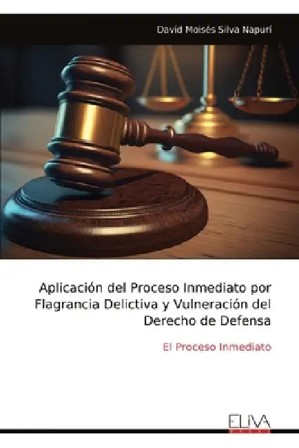 Aplicación del Proceso Inmediato por Flagrancia Delictiva y Vulneración del Derecho de Defensa by David Moisés Silva Napurí