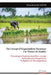 Du Concept d'Organisations Paysannes à la Théorie de Madide: Dynamiques Organisationnelles, Ancrage Socioculturel et Perspectives Endogènes de Dévelop by Ndingatoloum Silas Madide