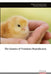 The Genetics of Veterinary Reproduction by Muhammad Sanusi Yahaya