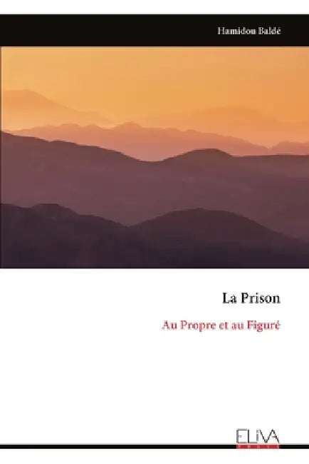 La Prison: Au Propre et au Figuré by Hamidou Baldé