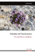 Toleration and Transformation: The Social Fabric of Resilience by Tatiana Zdyb