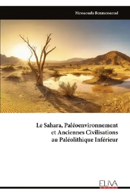 Le Sahara, Paléoenvironnement et Anciennes Civilisations au Paléolithique Inférieur by Messaouda Benmessaoud