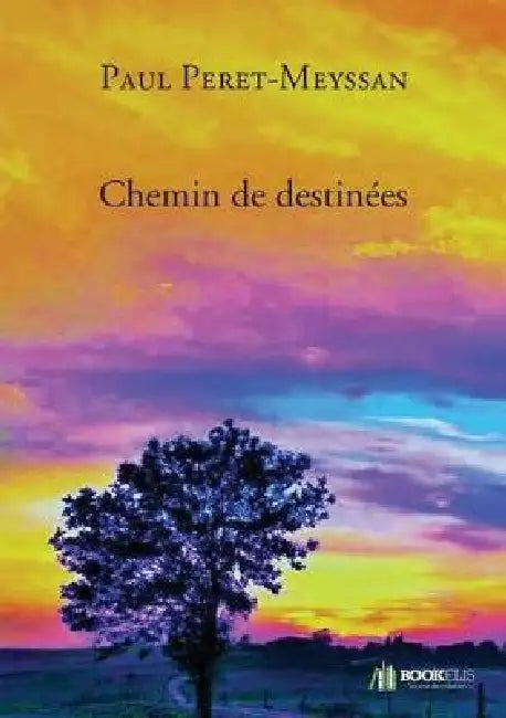 Chemin de destinées by Paul Péret-Meyssan