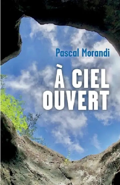 À ciel ouvert by Pascal Morandi