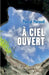 À ciel ouvert by Pascal Morandi