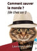 Comment sauver le monde ? (de chez soi !) by Laurence Labbe