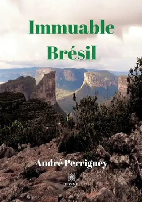 Immuable Brésil by André Perriguey