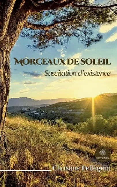 Morceaux de soleil: Suscitation d'existence by Christine Pellegrini