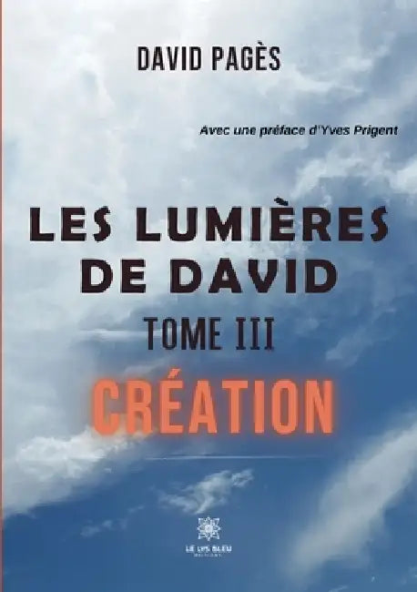 Les lumières de David: Tome III: Création by David Pagès