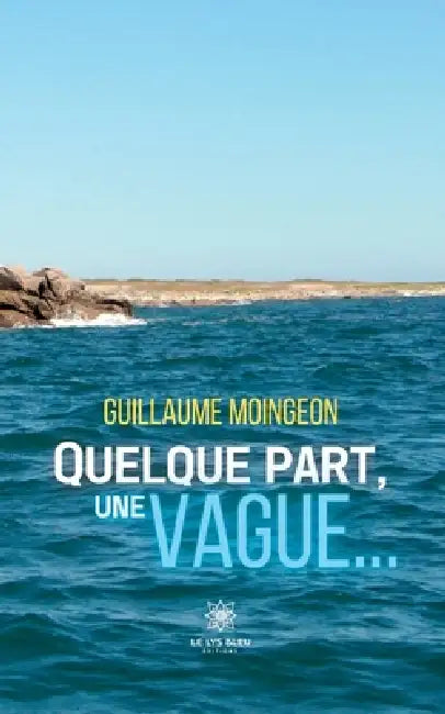 Quelque part, une vague... by Guillaume Moingeon