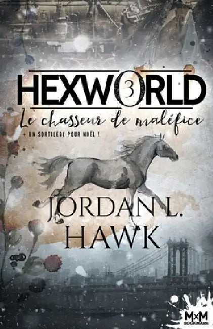 Le chasseur de maléfice: Hexworld, T3 by Jordan L. Hawk