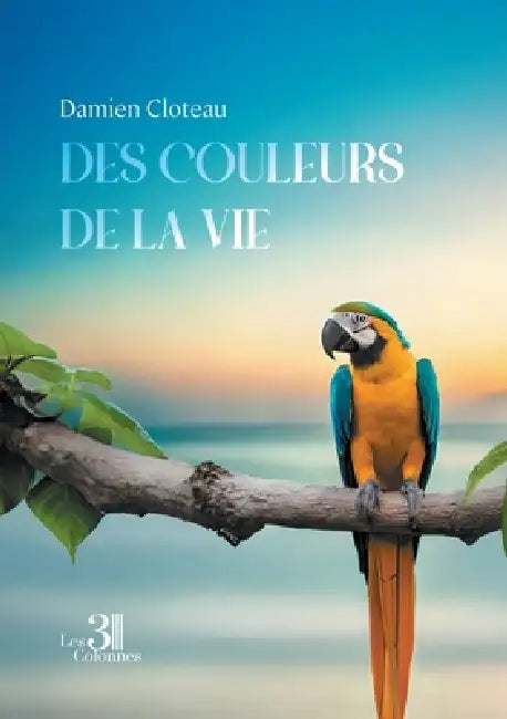 Des couleurs de la vie by Damien Cloteau