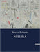 Nellina: Un dramma di passioni e conflitti interiori by Roberto, Bracco