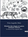 Histoire des singes et autres animaux curieux: Un essai de Pons-Augustin Alletz by Alletz, Pons-Augustin
