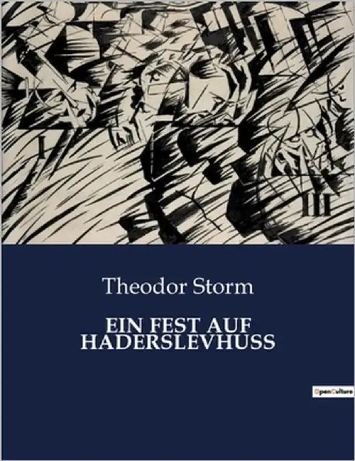 Ein Fest Auf Haderslevhuss: Ein Abend voller Geheimnisse und Enthüllungen by Storm, Theodor