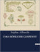 Das Höfliche Gespenst by Albrecht, Sophie