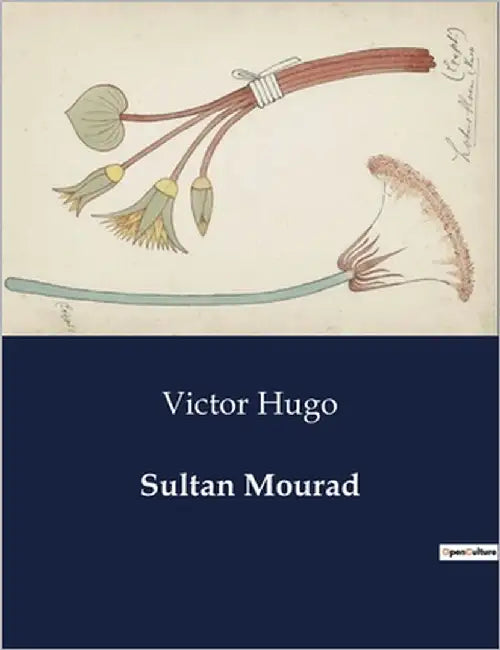 Sultan Mourad: La rédemption inattendue d'un tyran by Hugo, Victor