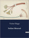 Sultan Mourad: La rédemption inattendue d'un tyran by Hugo, Victor