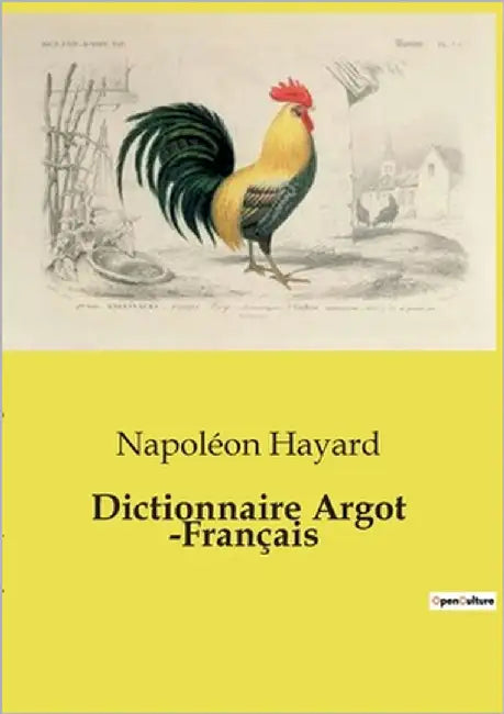 Dictionnaire Argot -Français by Hayard, Napoléon