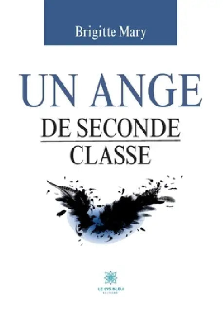Un ange de seconde classe by Brigitte Mary