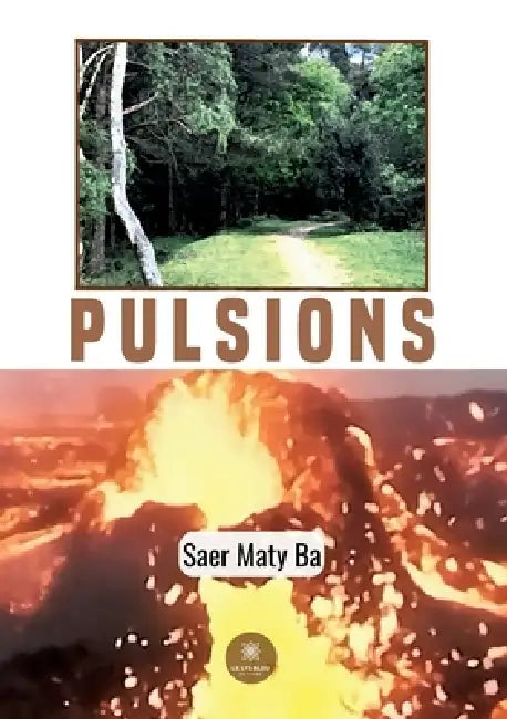 Pulsions by Saer Maty Ba