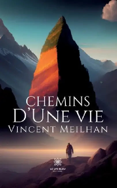 Chemins d'une vie by Vincent Meilhan