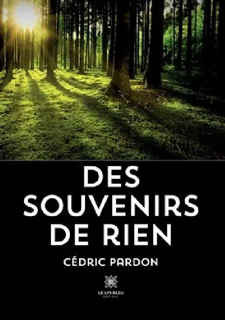 Des souvenirs de rien by Cédric Pardon