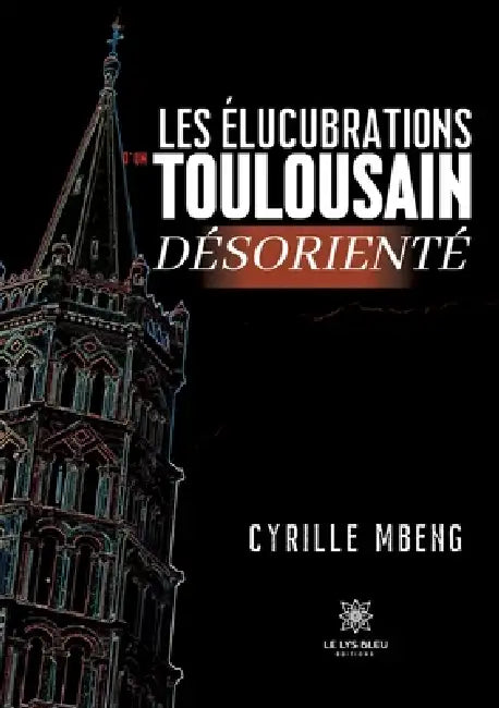 Les élucubrations d'un Toulousain désorienté by Cyrille Mbeng