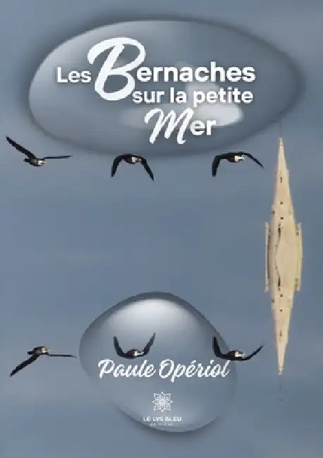 Les bernaches sur la petite mer by Paule Opériol