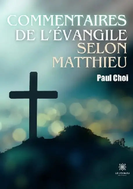 Commentaires de l'Évangile selon Matthieu by Paul Choi