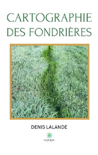 Cartographie des fondrières by Denis Lalande