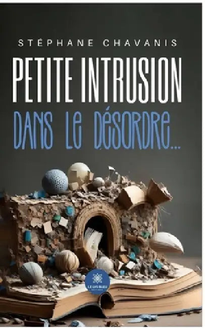 Petite intrusion dans le désordre... by Stéphane Chavanis