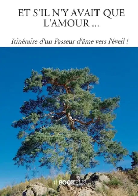 Et s'Il n'y Avait Que l'Amour ...: Itinéraire d'un Passeur d'âme vers l'éveil ! by Didier Chapuis