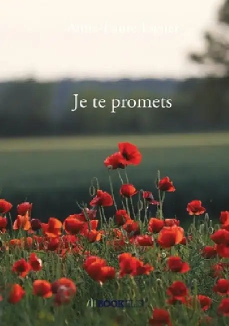 Je te promets by Anne-Laure Joguet