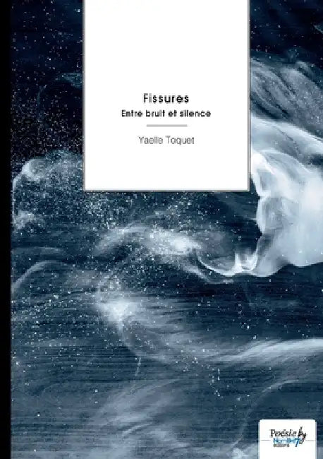 Fissures: Entre bruit et silence by Yaelle Toquet