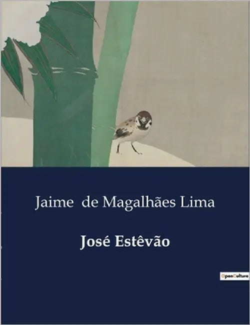 José Estêvão by de Magalhães Lima, Jaime