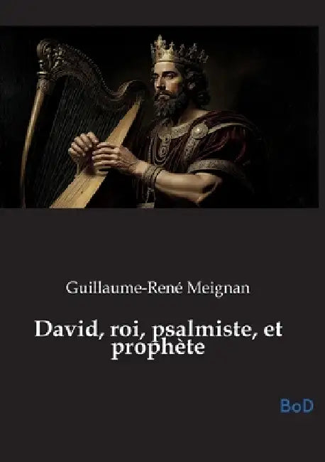 David, roi, psalmiste, et prophète by Guillaume-René Meignan