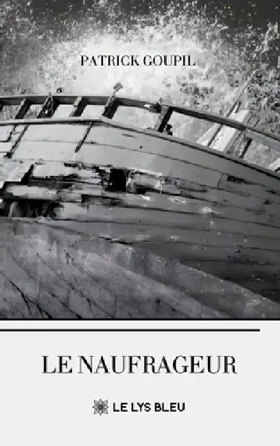 Le naufrageur by Patrick Goupil