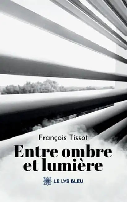 Entre ombre et lumière by François Tissot