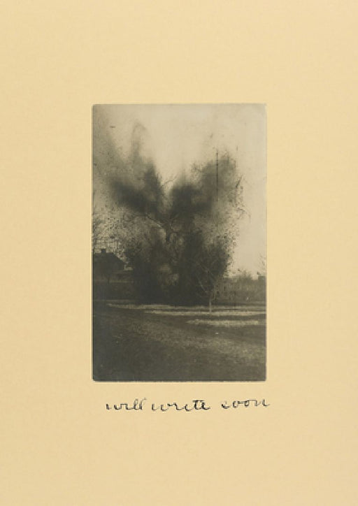 Will Write Soon by David Thomson