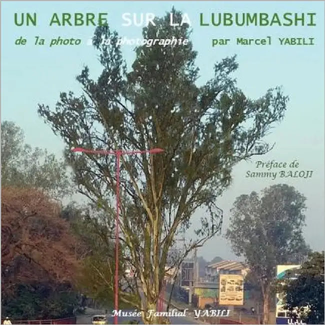 De la photo à la photographie: Un arbre sur la Lubumbashi by Yabili, Marcel
